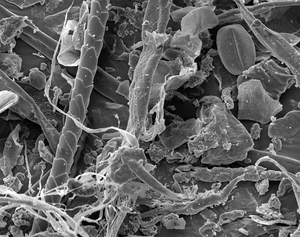 Household dust